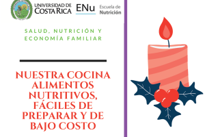 Fascículo 10 Cocina en Navidad-1